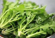 薺菜為什么要焯水？薺菜要用開水燙嗎？