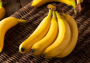 體寒能吃香蕉嗎？體寒吃香蕉好嗎？