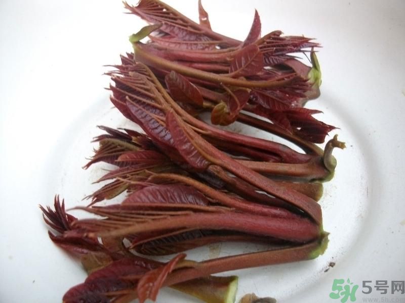 香椿好吃嗎？香椿可以做菜嗎？