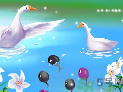 懷孕前要做檢查嗎？哪些人群必須要進行孕前檢查？