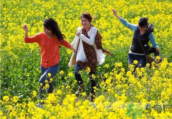 清明節(jié)的習(xí)俗有哪些？清明節(jié)吃什么？