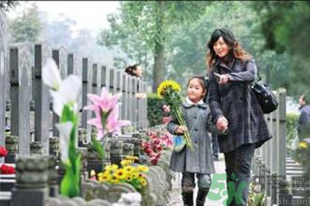 么時間適合掃墓？清明掃墓什么時間好？