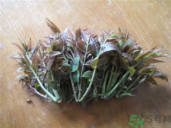 香椿怎么吃才安全？吃香椿的最佳時(shí)間是什么時(shí)候？