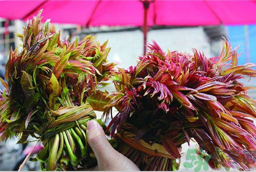 香椿怎么吃才安全？吃香椿的最佳時(shí)間是什么時(shí)候？