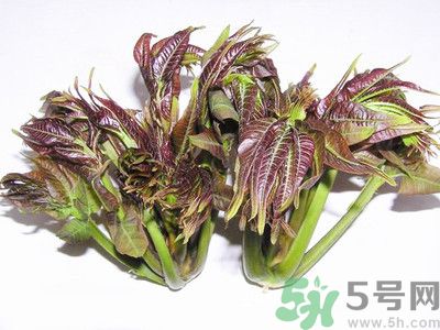 吃香椿有什么好處？香椿可以預(yù)防疾病嗎？