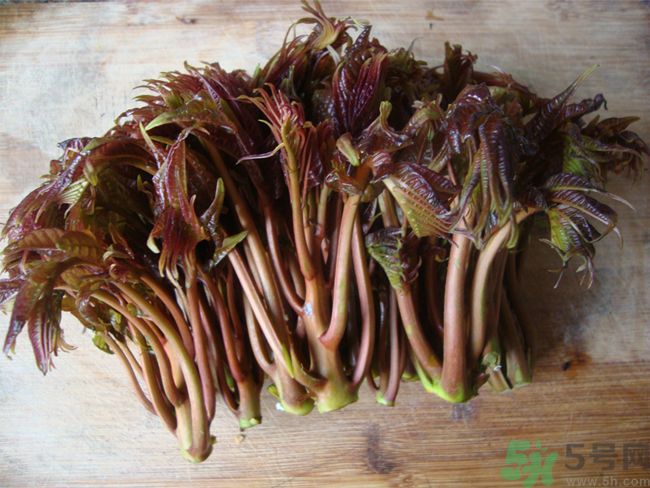 怎么挑選香椿呢？挑選香椿的小竅門？