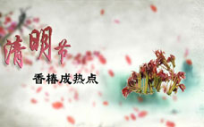 香椿可以怎么吃 香椿怎么做好吃