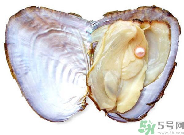 河蚌什么時候吃最好？吃河蚌有什么好處？