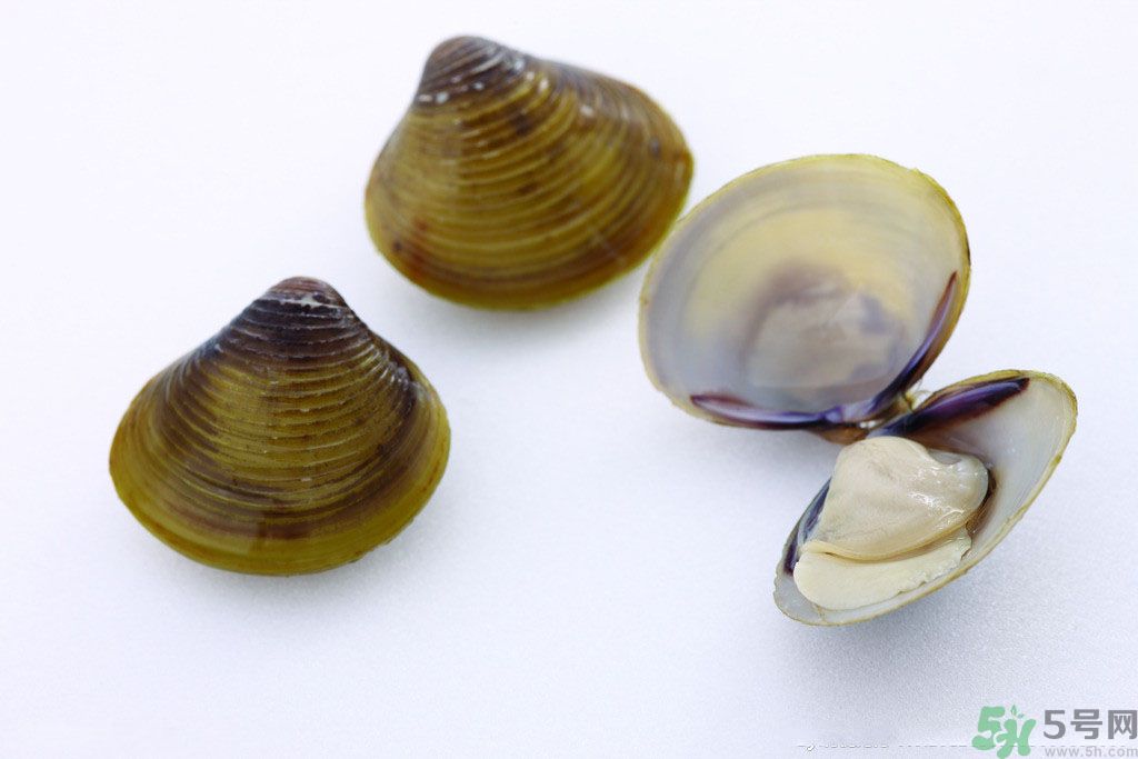 河蚌什么時候吃最好？吃河蚌有什么好處？