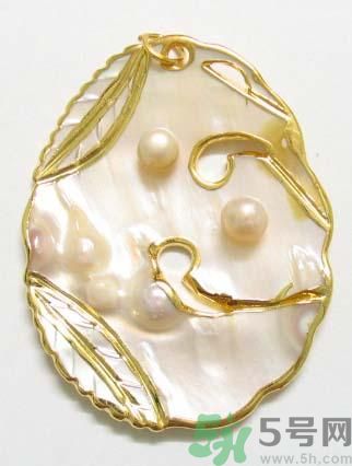 河蚌要怎么清洗才干凈？河蚌的清洗方法？