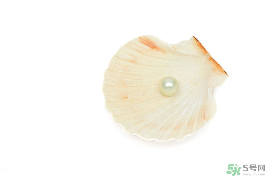 河蚌怎么炒才不會老？炒河蚌要注意什么？