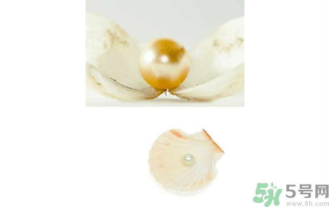 河蚌怎么炒才不會老？炒河蚌要注意什么？