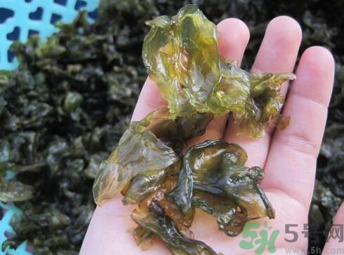 地皮菜孕婦能吃嗎？地皮菜孕婦吃好嗎？