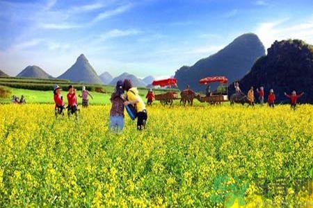 清明節(jié)為什么要踏青？清明節(jié)踏青有什么好處？