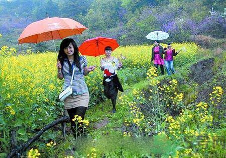 清明節(jié)為什么要踏青？清明節(jié)踏青有什么好處？