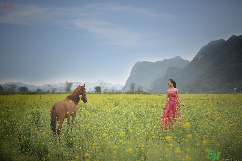 清明踏青穿什么衣服？清明踏青要注意什么？