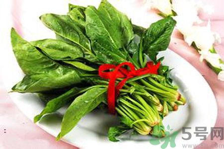 補(bǔ)血吃什么好？補(bǔ)血的食物有哪些？