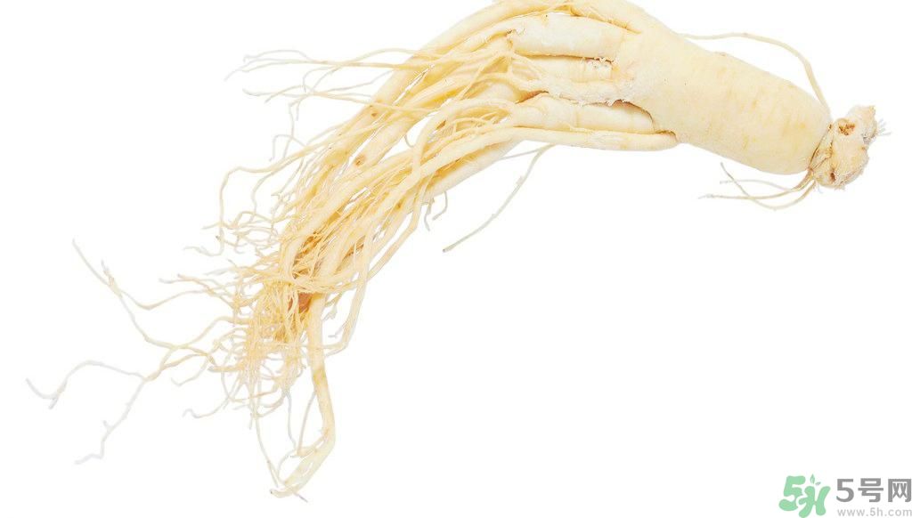 補(bǔ)氣血的中藥有哪些？哪些中藥補(bǔ)氣血？