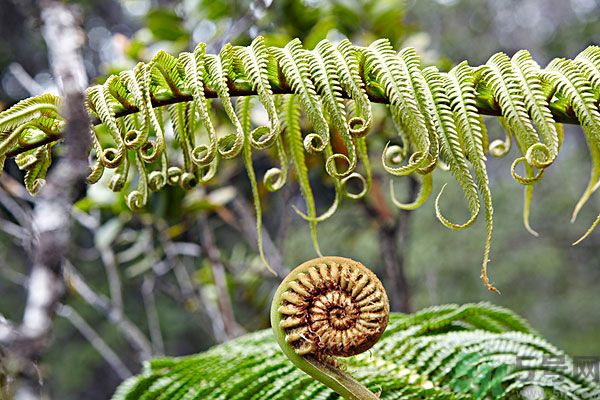 1459246900942631.jpg mf700-06553444.jpg