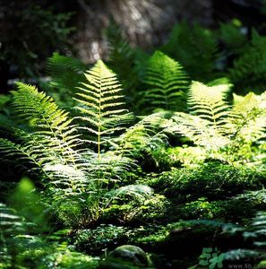 1459246905214592.jpg llp-trn-00310.jpg