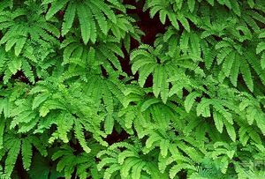 1459246911279365.jpg y9b-1611872.jpg