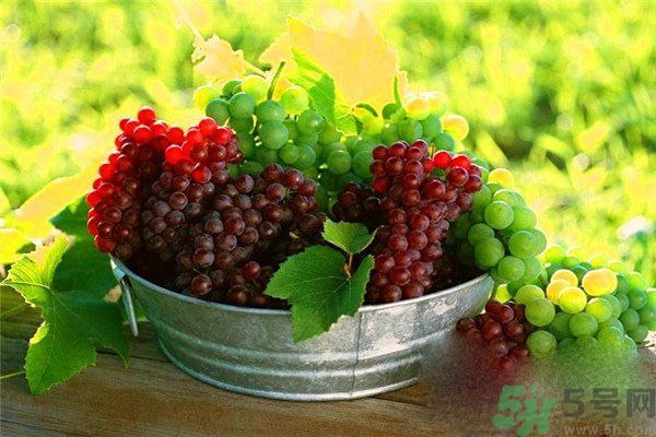 高血脂吃什么水果好？什么水果可以降血脂？