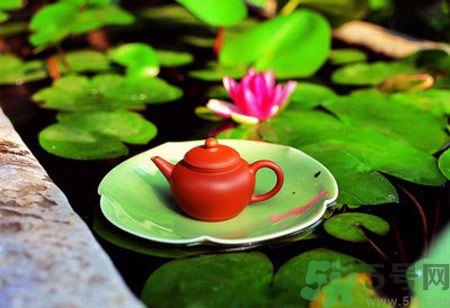 降血脂的茶有哪些？什么茶可以降血脂？