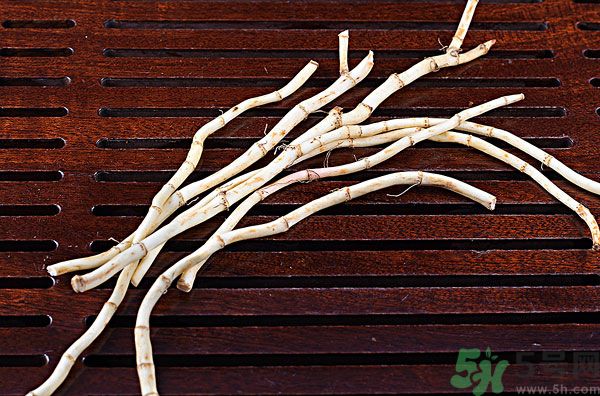 魚腥草能泡水喝嗎？魚腥草泡水喝有什么功效？