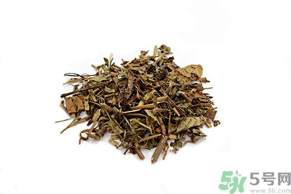 魚腥草能泡水喝嗎？魚腥草泡水喝有什么功效？