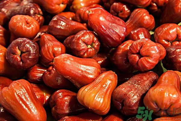 蓮霧孕婦能吃嗎？孕婦可以吃蓮霧嗎？