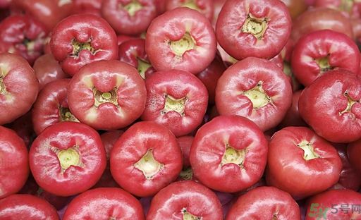 蓮霧孕婦能吃嗎？孕婦可以吃蓮霧嗎？