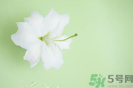 春季咳嗽怎么辦？春季咳嗽吃什么好？