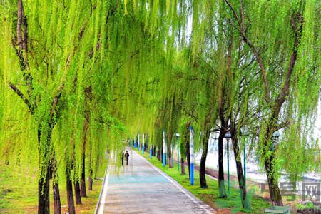 春天適合什么運(yùn)動(dòng)？春天做什么運(yùn)動(dòng)好？