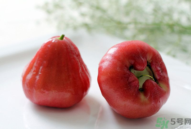 蓮霧皮能吃嗎？蓮霧要不要削皮？