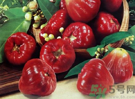 蓮霧糖尿病人能吃嗎？糖尿病可以吃蓮霧嗎？