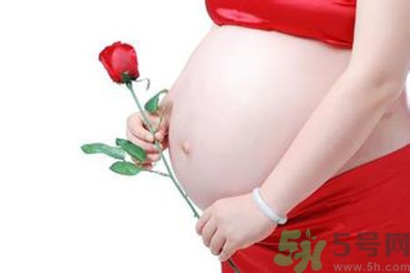 孕婦可以吃枸杞嗎？孕婦吃枸杞好嗎？