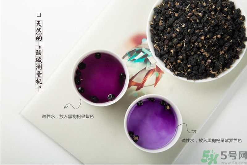 黑枸杞有什么功效？黑枸杞的好處有哪些？