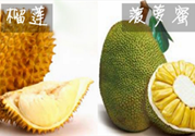 菠蘿蜜和榴蓮的區(qū)別,菠蘿蜜和榴蓮哪個(gè)好吃