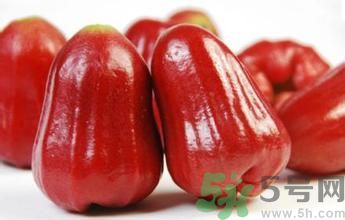 蓮霧是熱性還是涼性水果？蓮霧是寒性水果嗎？