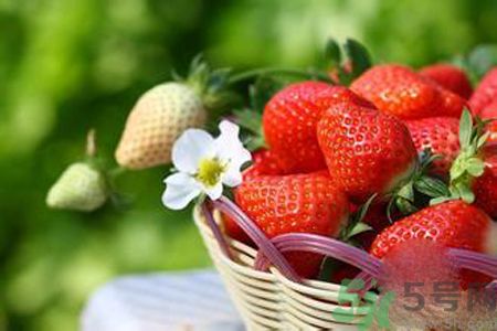 糖尿病可以吃草莓嗎？糖尿病吃草莓好嗎？