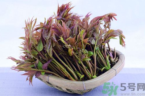 香椿炒雞蛋的做法大全,香椿炒雞蛋的營養(yǎng)價值有哪些? 香椿炒雞蛋的做法大全,香椿炒雞蛋的營養(yǎng)價值有哪些?