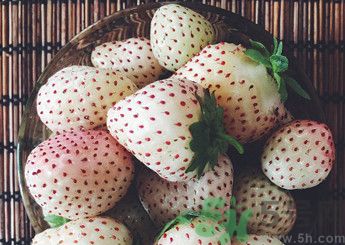 菠蘿莓好吃嗎？菠蘿莓好不好吃？