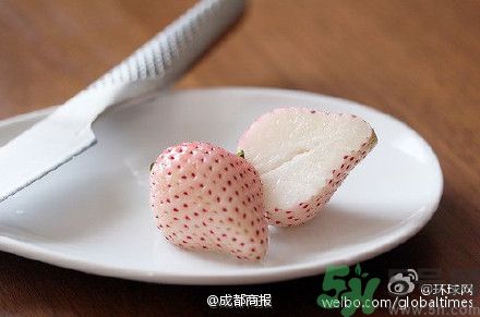 菠蘿莓好吃嗎？菠蘿莓好不好吃？