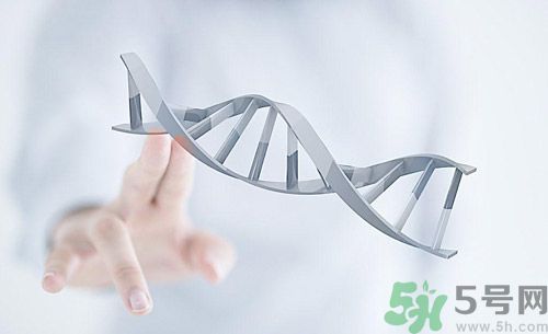 糖尿病會遺傳嗎？糖尿病會遺傳給胎兒嗎？