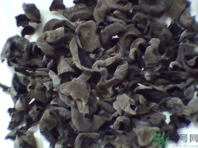 黑木耳的價(jià)格是多少？黑木耳要怎么挑選？