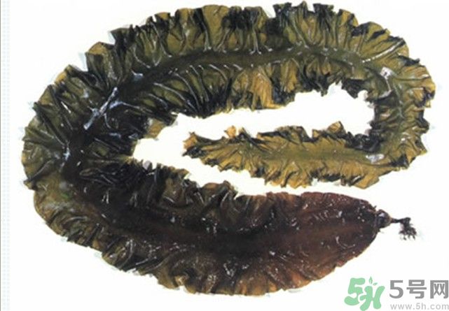 海帶用冷水泡還是熱水泡發(fā)？海帶怎么泡才不會發(fā)硬？