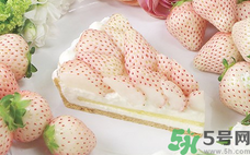 白草莓的營養(yǎng)價值有哪些?白草莓的功效與作用 白草莓的營養(yǎng)價值有哪些?白草莓的功效與作用