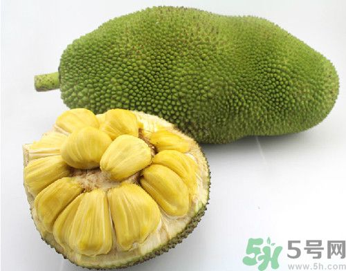 菠蘿蜜和榴蓮的區(qū)別,菠蘿蜜和榴蓮哪個(gè)好吃 菠蘿蜜和榴蓮的區(qū)別,菠蘿蜜和榴蓮哪個(gè)好吃