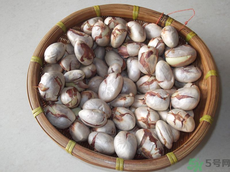 菠蘿蜜的核能吃嗎?菠蘿蜜的核怎么吃好吃 菠蘿蜜的核能吃嗎?菠蘿蜜的核怎么吃好吃