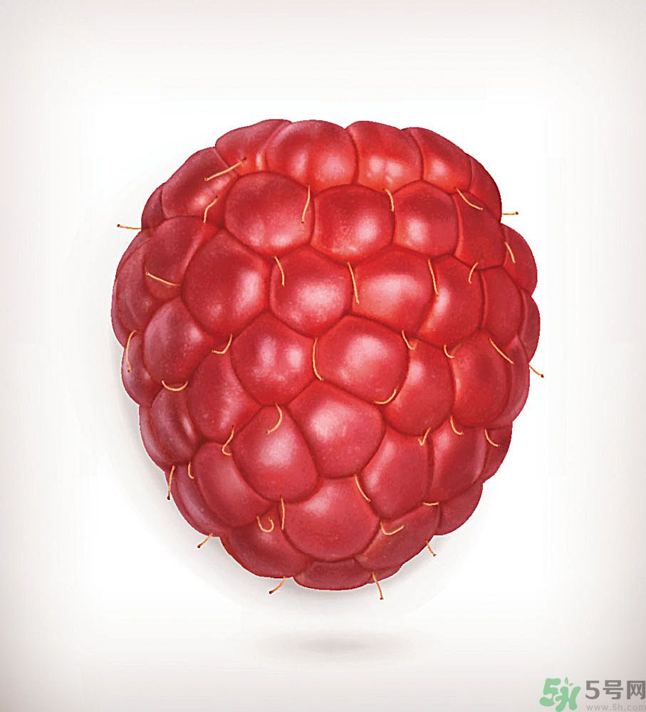 桑葚孕婦可以吃嗎？孕婦能不能吃桑葚？